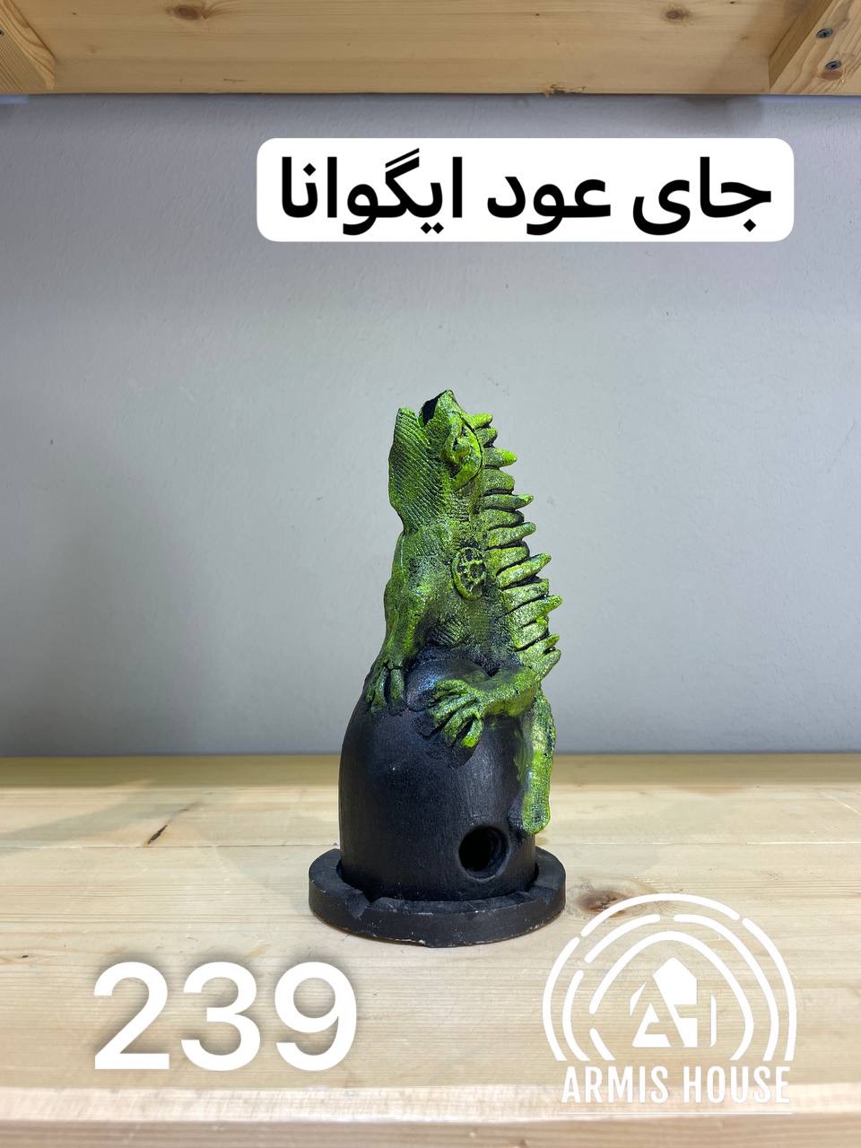 جای عود ایگوانا